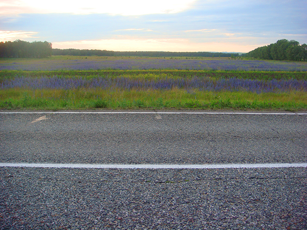 Antoshina.com DSC01182