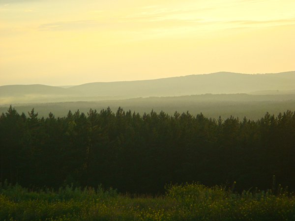 Antoshina.com DSC01214
