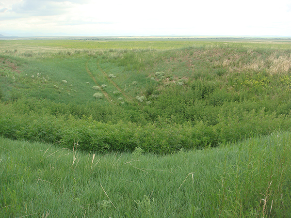 Antoshina.com DSC01341