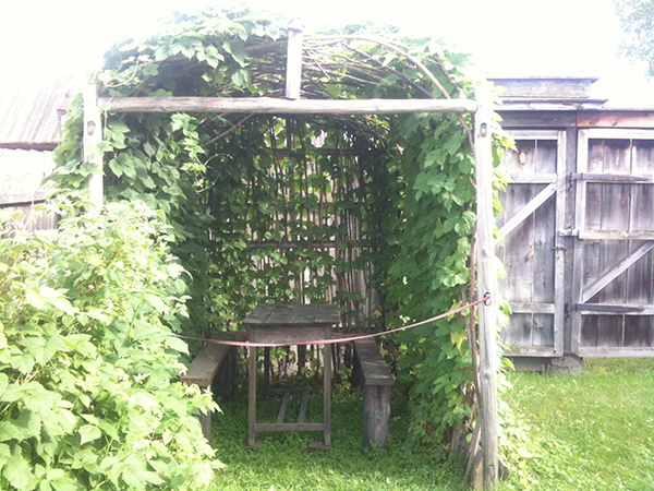 Antoshina.com IMG_3470