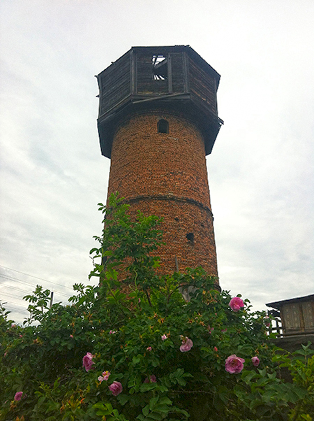 Antoshina.com IMG_5636